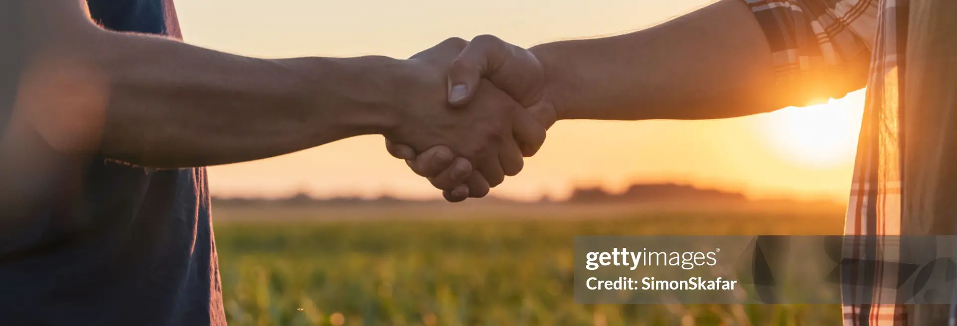 Collaborazioni Con Enti Locali